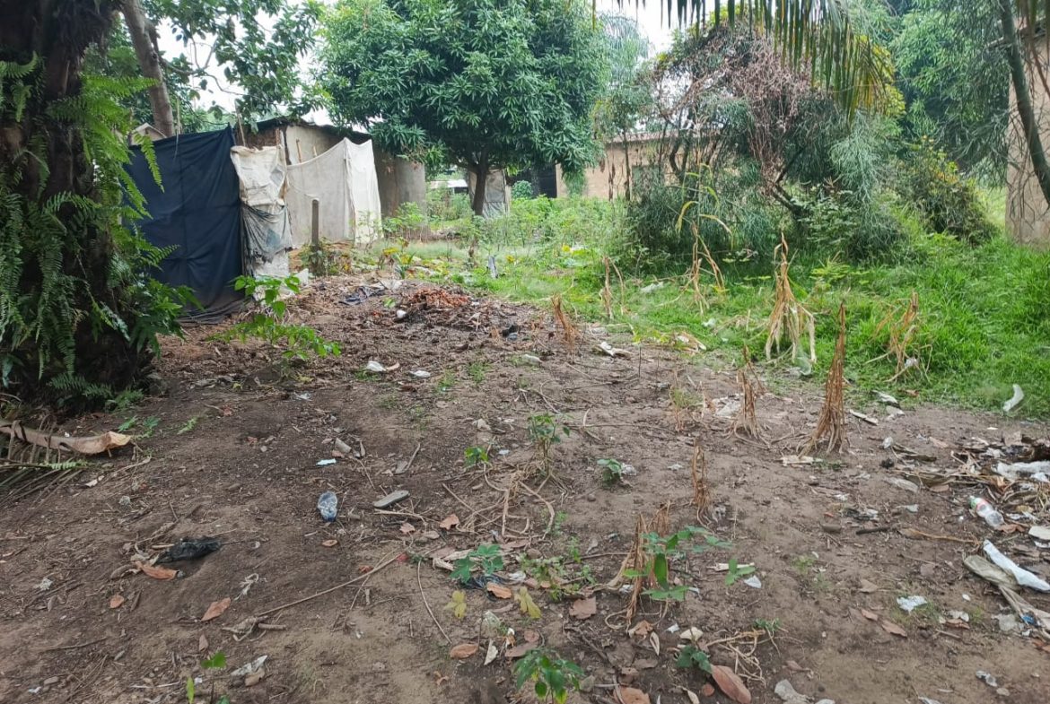 TERRAIN A VENDRE