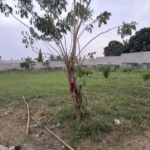 image picker D4A735ED 225C 46FC 88A8 E4CEC5B55F03 4211 0000031ACD455B4A