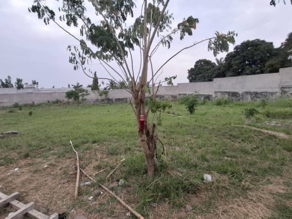 Terrains misent en vente à MACAMPAGNE 10 image picker D4A735ED 225C 46FC 88A8 E4CEC5B55F03 4211 0000031ACD455B4A