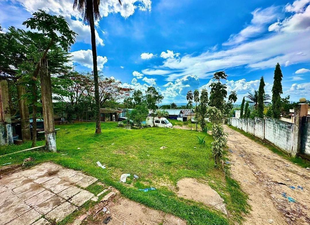 PARCELLE à vendre Ngaliema
