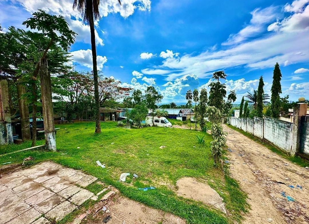 PARCELLE à vendre Ngaliema