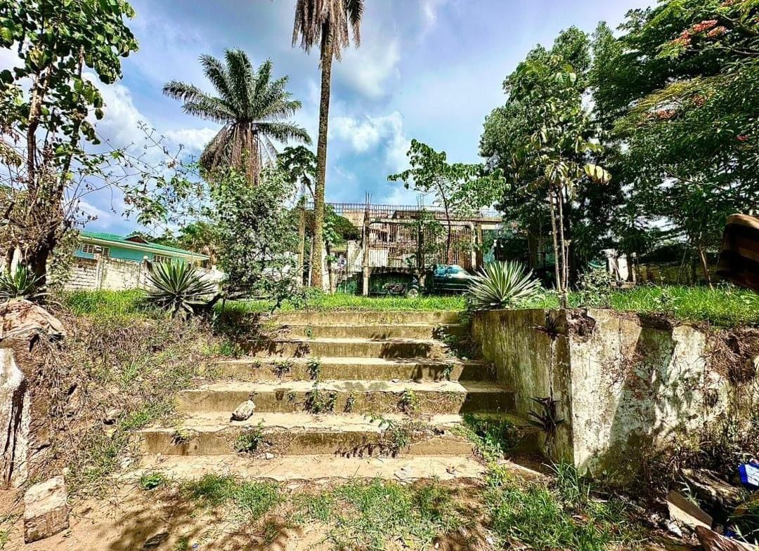 PARCELLE à vendre Ngaliema