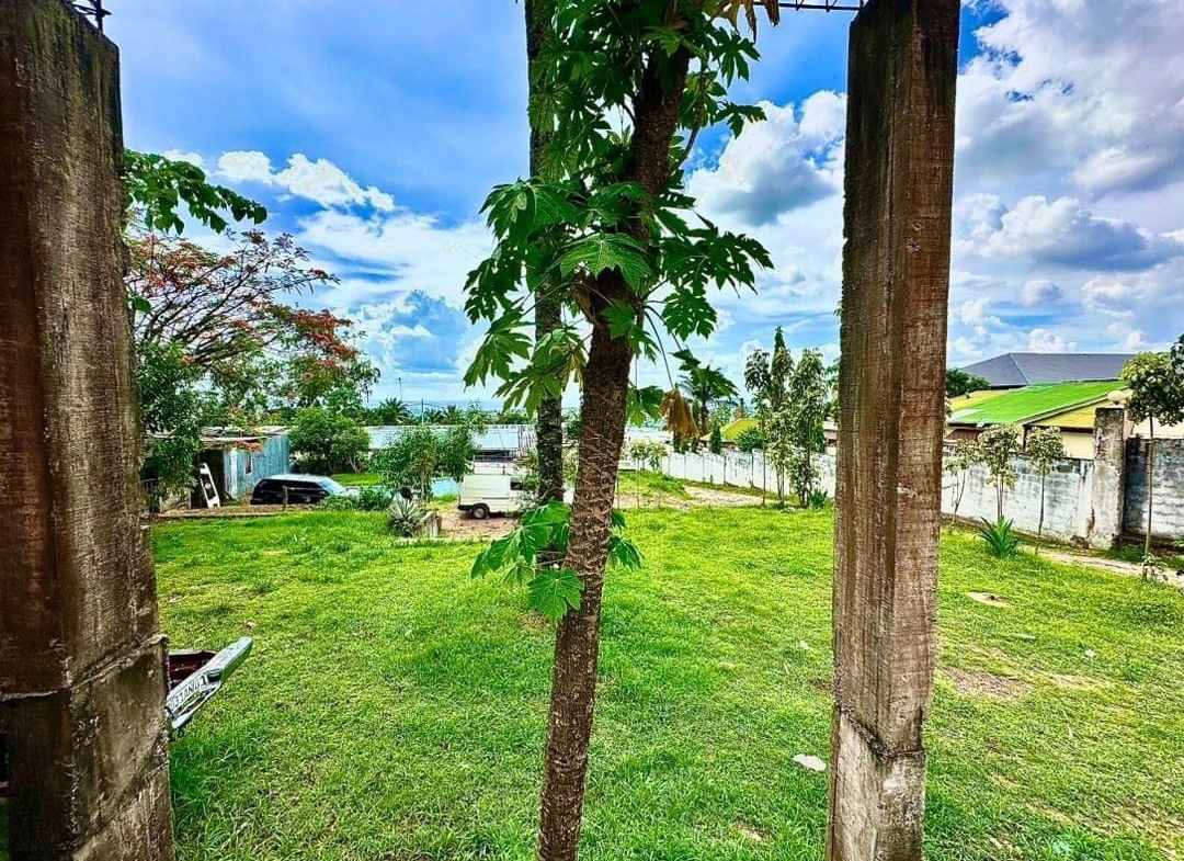 PARCELLE à vendre Ngaliema