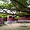 Vente d'une Ecole à Ngaliema Binza Pompage 23 parcelle à vendre