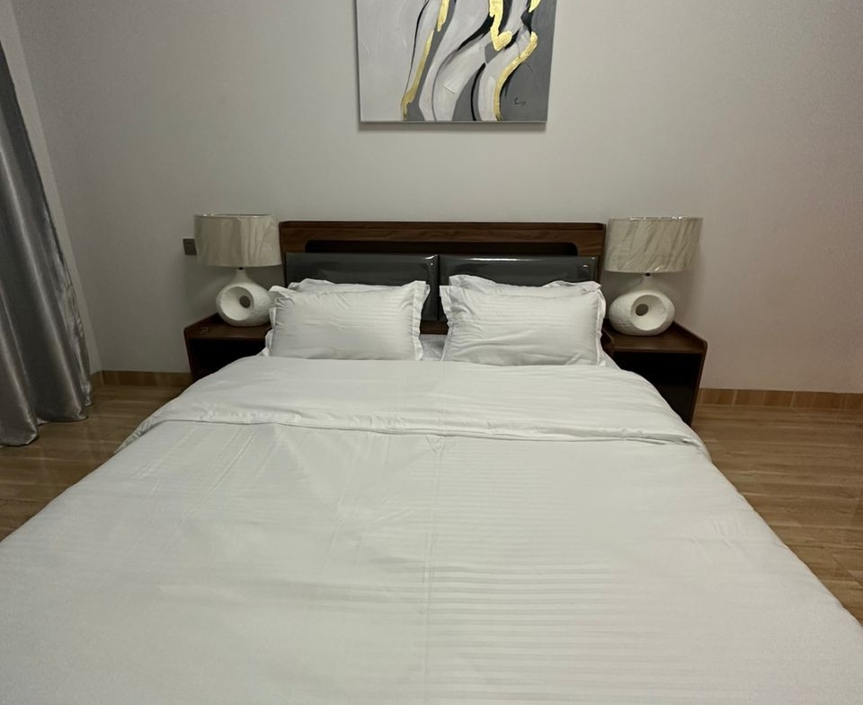 Appartement meuble à louer