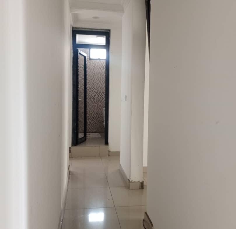 Appartements misent en location