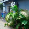 Belle Maison Basse mise en location à Lingwala 23 image picker BE34B27F 80AA 45B2 B08D FA20306C9FF5 40937 0000253C2876354A