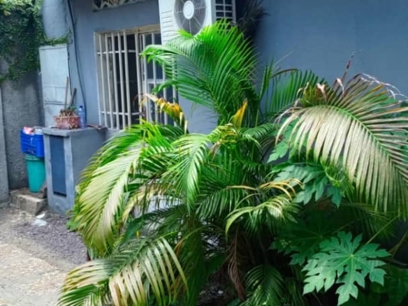 Belle Maison Basse mise en location à Lingwala 30 image picker BE34B27F 80AA 45B2 B08D FA20306C9FF5 40937 0000253C2876354A