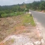 Terrain mise en vente