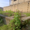 parcelle à vendre à N'sele terre jaune 23 scaled 1002141053