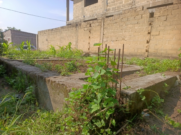 parcelle à vendre à N'sele terre jaune 20 scaled 1002141053