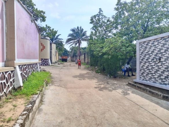 VENTE D'UNE PARCELLE AVEC UNE GRANDE MAISON À MONT NGAFULA BEL-AIR 30 PARCELLE