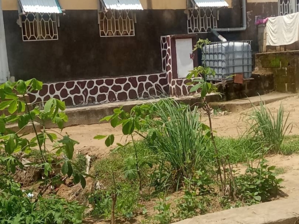 Vente parcelle situé à cité maman Mobutu dans la commune de Mont Ngafula 16 Parcelle à vendre