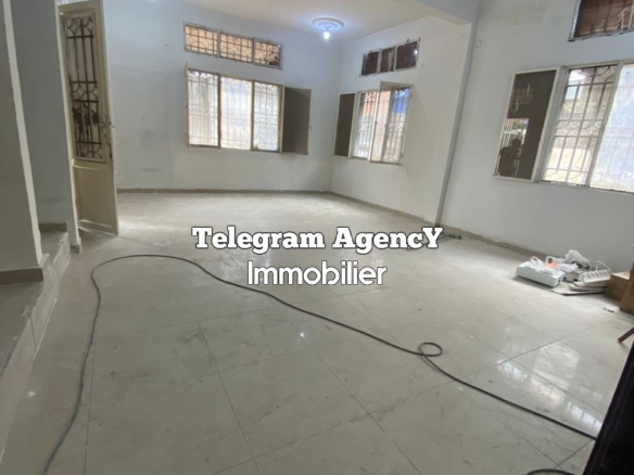 Maison basse à louer