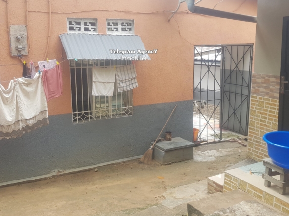 Maison à louer à Ngaliema 22 Maison à louer