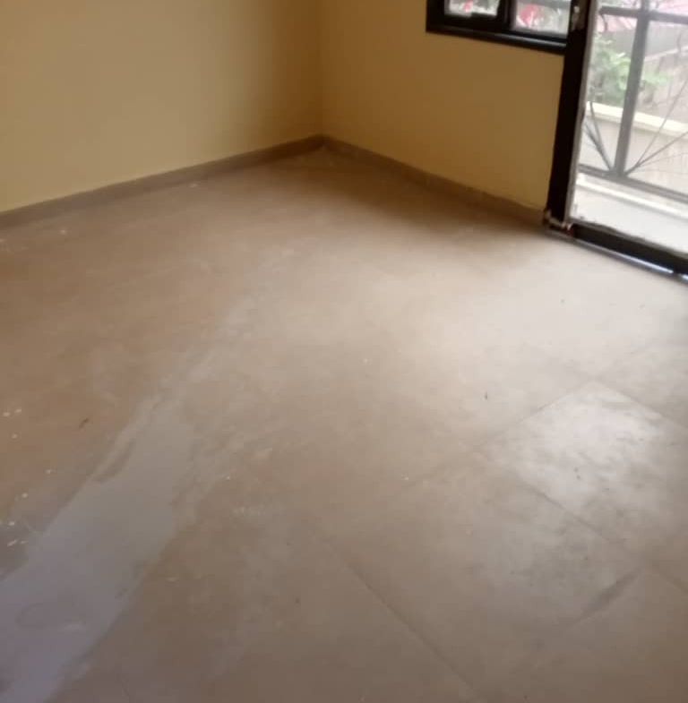 Appartement mis en location