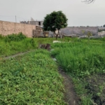 Terrain mis en vente