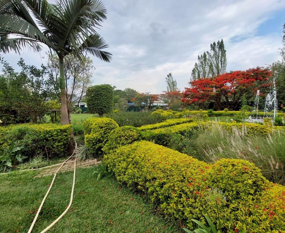 VILLA MISE EN VENTE