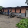 Parcelle à vendre à N'SELE situé à KINKOLE 23 Parcelle à vendre