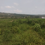 Vente de terrain à n'djili brasserie