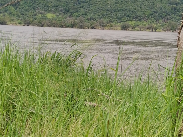 Terrain à vendre au bord du fleuve Congo Mont ngafula 20 Terrain