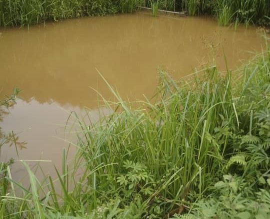 Concession Agricole à vendre au kongo centrale après péage village Luila 22 hectares