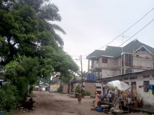 Parcelle à vendre à N'sele 40 Parcelle à vendre