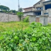 Vente d'un terrain vide à Binza pigeon C/Ngaliema très bon emplacement 22 terrain
