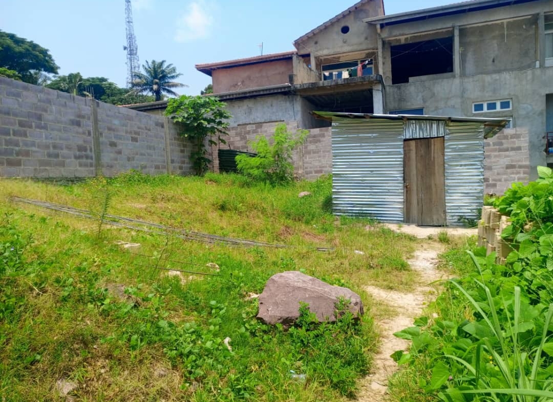 terrain