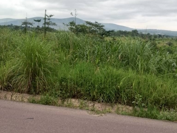 concession à kasangulu avant péage au bord de macadam 20 scaled 1002141821
