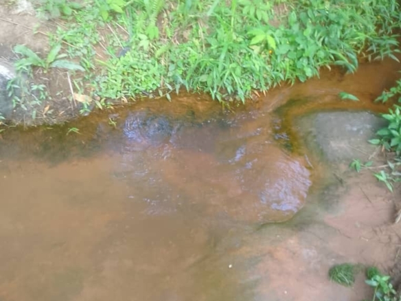 concession agricole a vendre à kasangulu avant péage 48 scaled 1002373072