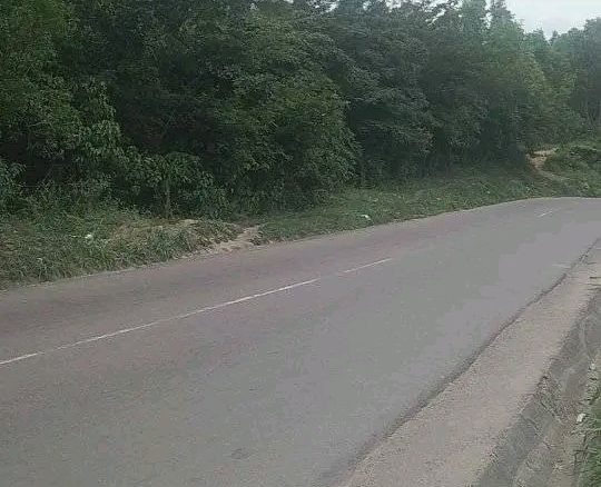 ferme a vendre au kongo centrale, kasangulu avant péage au bord de macadam 15 ferme a vendre