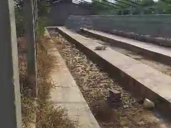 Ferme à vendre à kasangulu avant péage 18 Ferme à vendre