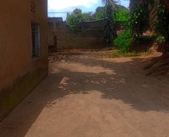 Parcelle en vente avec maison à Badiadingi 12 scaled 1003451025