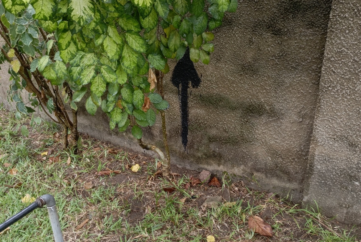 Terrain