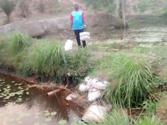 Concession à vendre à la commune de la n'sele, quartier n'djili brasserie à Kinshasa 6 terrain