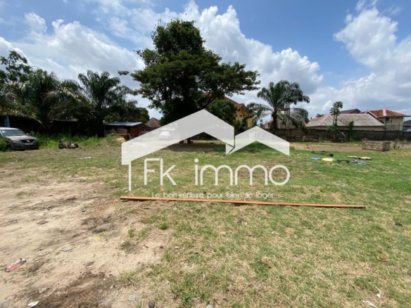 Morcellement de plusieurs terrains à vendre à Binza Upn 36 scaled 1000799445