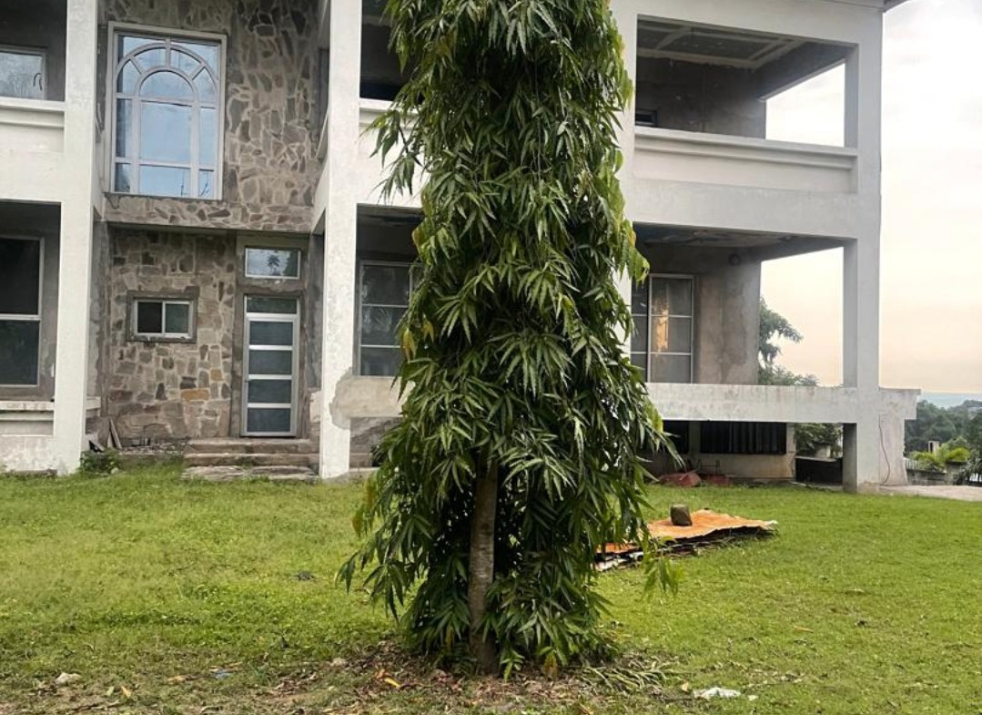 maison