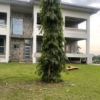 villa en vente à binza macampagne 22 scaled 1000811791