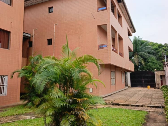 Deux immeubles jumelles avendre à mont ngafula 50 immeuble