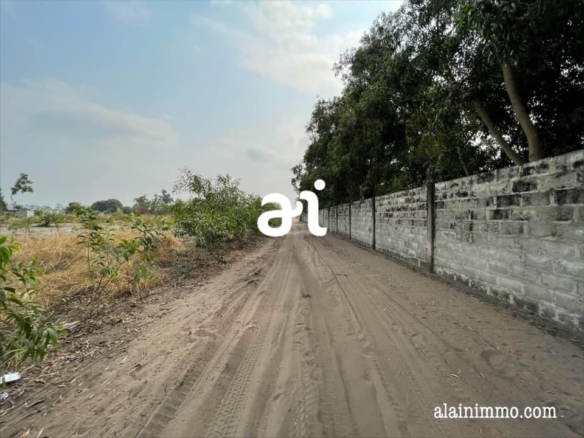 VENTE DES TERRAINS VIDE ET LOTIS AU SEIN D’UNE CONCESSION À 15 MINUTES EN VOITURE APRÈS L’AEPORT DE NDJILI À KINSHASA-NSELE/Kinkole 18 TERRAINS