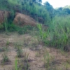 VENTE PARCELLE de 20 x 25 au Quartier NOKI à Mbanza-Ngungu Kongo Central 22 PARCELLE