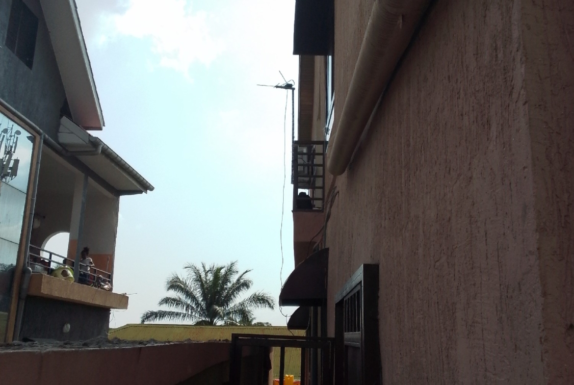appartement mise en location
