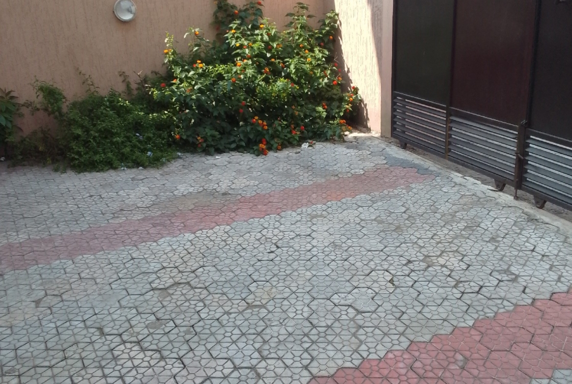 appartement mise en location