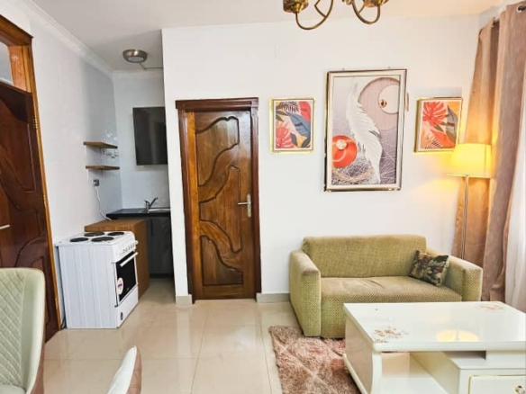 Appartement meublé mise en location à Gombe 4 appartement meublé