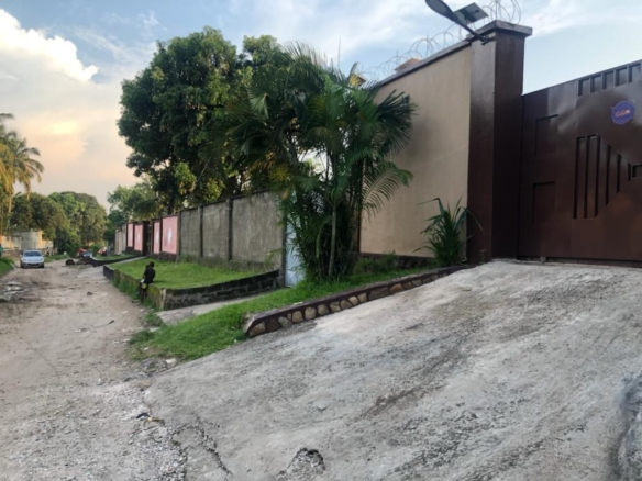 Toute la parcelle mise en location a Kitambo Jamaïque 14 parcelle à louer