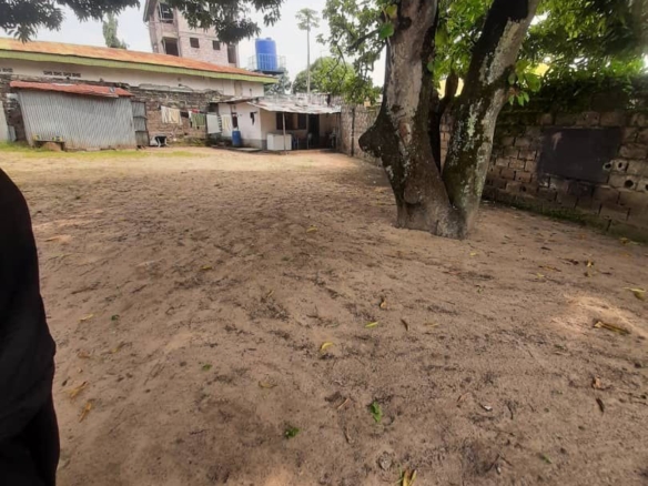 Parcelle de 12 x 20m mise en vente à binza upn 18 Parcelle