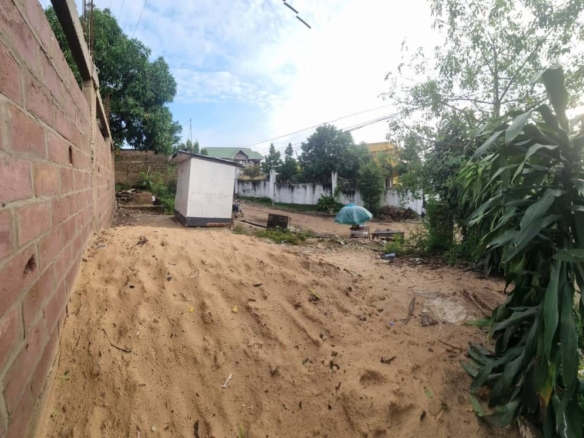 Terrain vide en vente à Ngaliema cité des anciens combattants 2 terrain