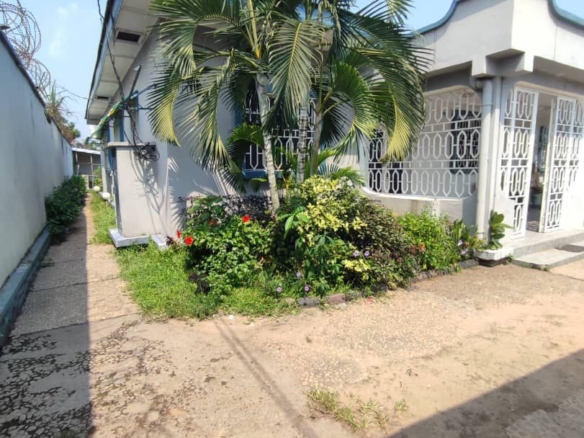 Parcelle de 11m/20m avec maison basse en vente situé à Mimosa Ngaliema 38 Parcelle