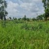 Des hectares misent en vente à maluku village kitshini 22 hectares